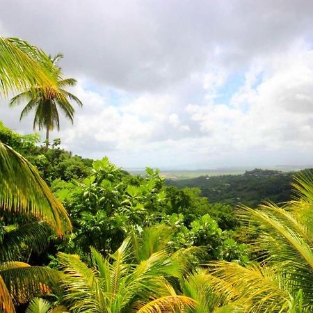 Maison Douce A Riviere-Salee Avec Vue Sur Jardin & Montagne エクステリア 写真