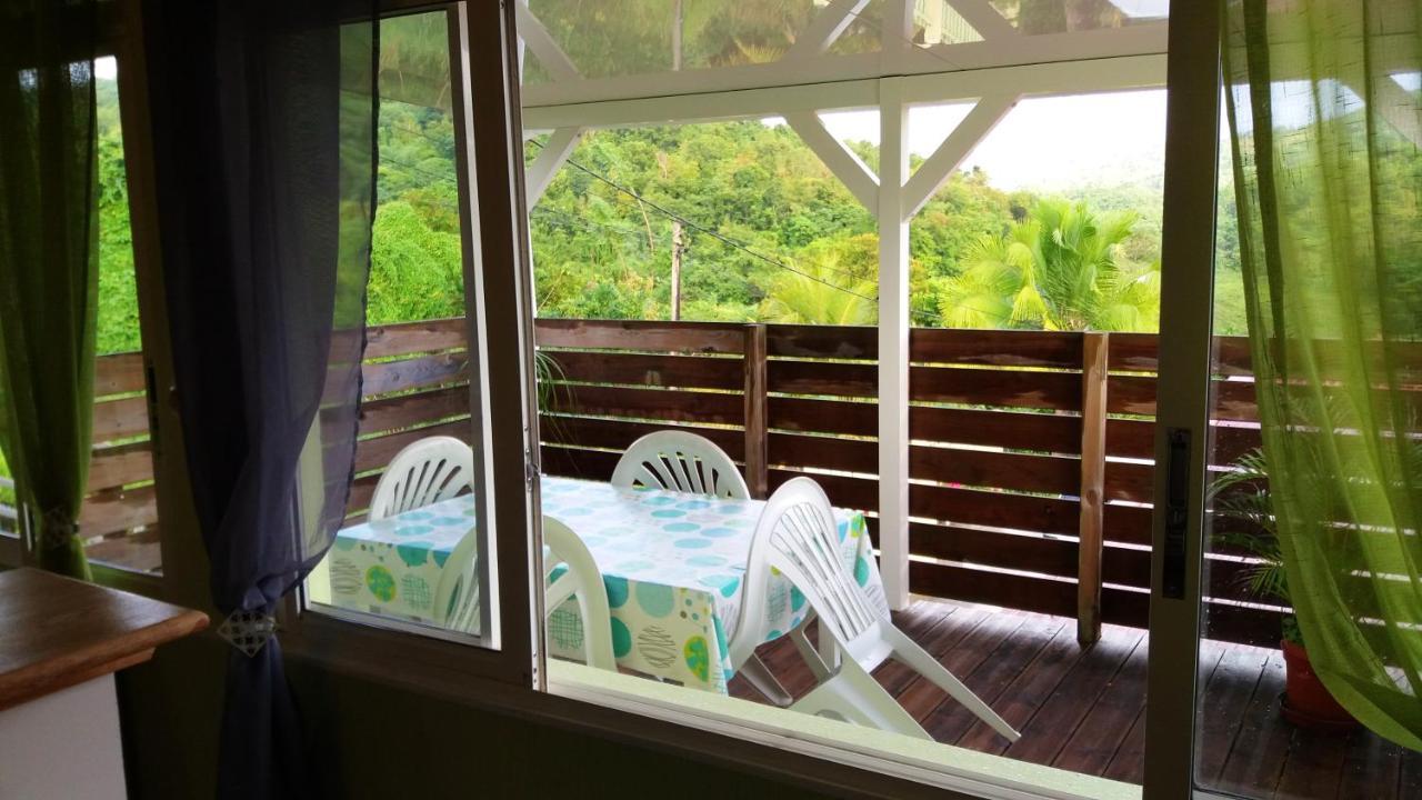 Maison Douce A Riviere-Salee Avec Vue Sur Jardin & Montagne エクステリア 写真